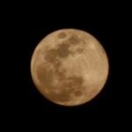 La Resiliencia: Superando Obstáculos para Crecer